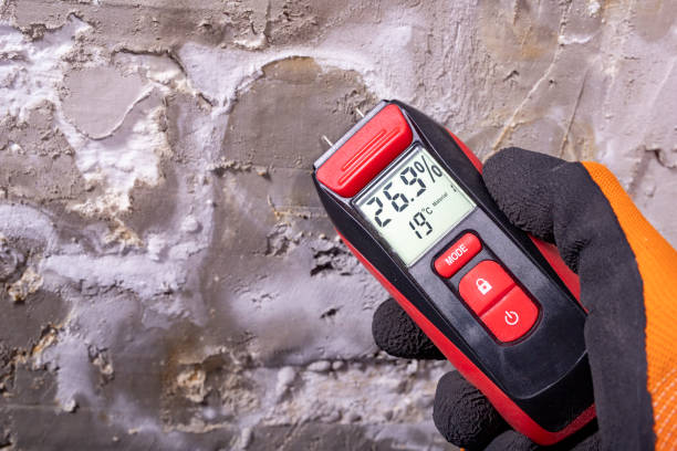 Best Toxic Mold Removal  in Weldon, NC